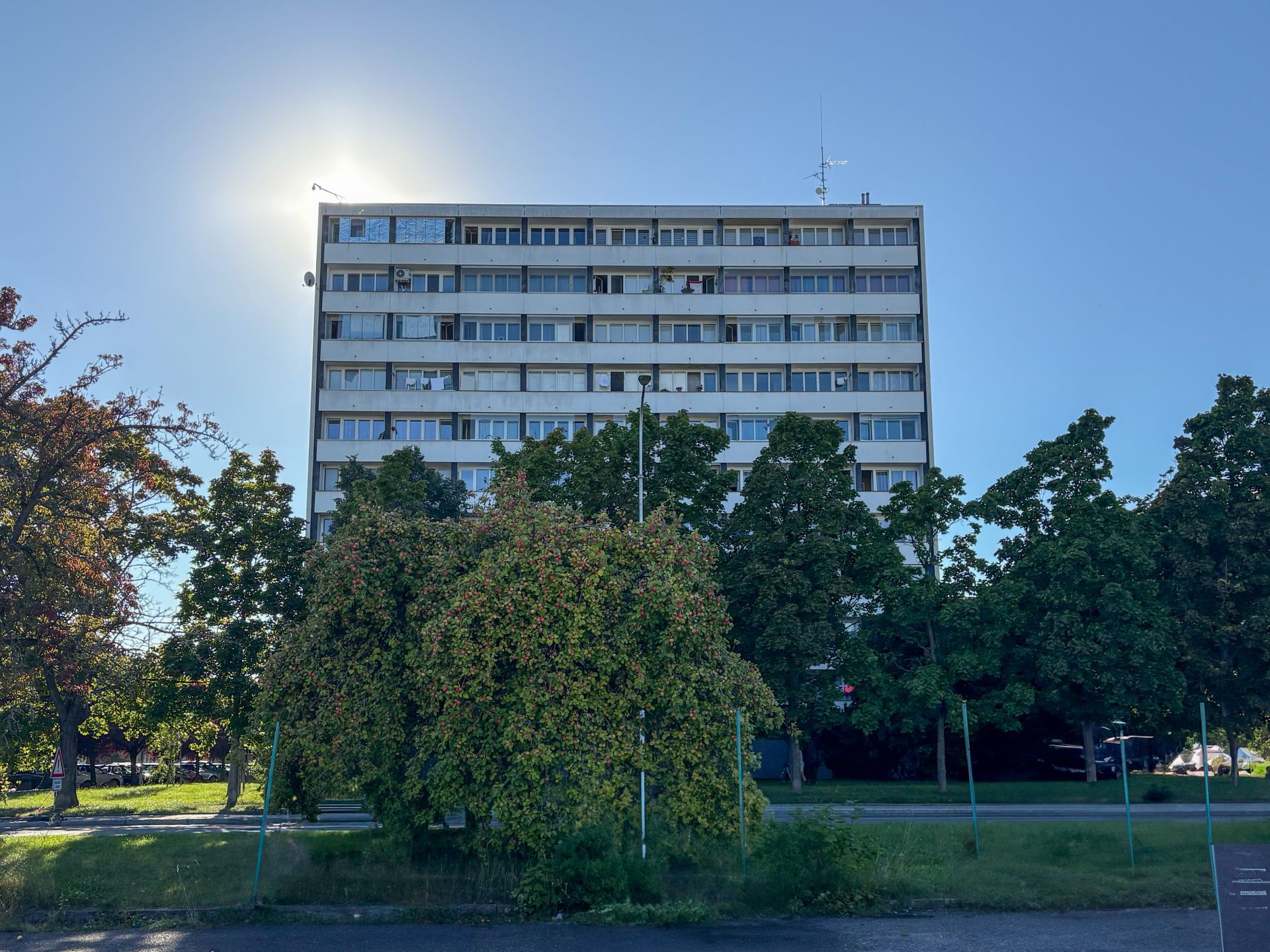 Prodej bytu 1+kk Jičínská Mladá Boleslav